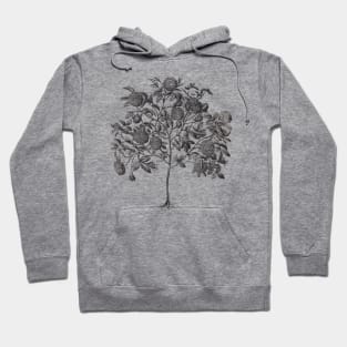 Rose Tree Vintage Botanical Illustration Hoodie